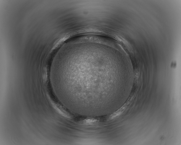 X0000091550158200708171312