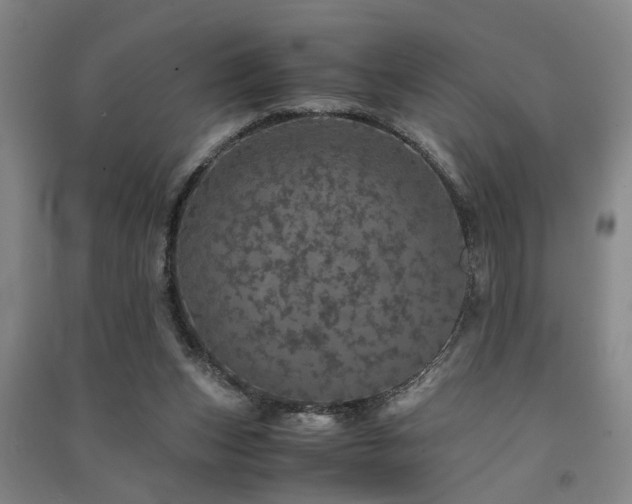 X0000091550159200708171312