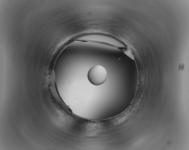 X0000091550160200708171312