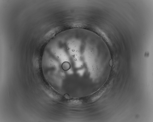 X0000091550161200708171312