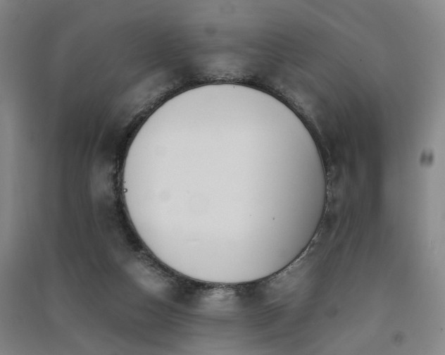 X0000091550162200708171312