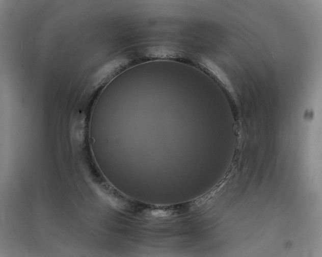 X0000091550163200708171312