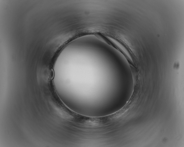 X0000091550164200708171312