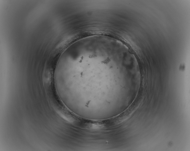 X0000091550165200708171312
