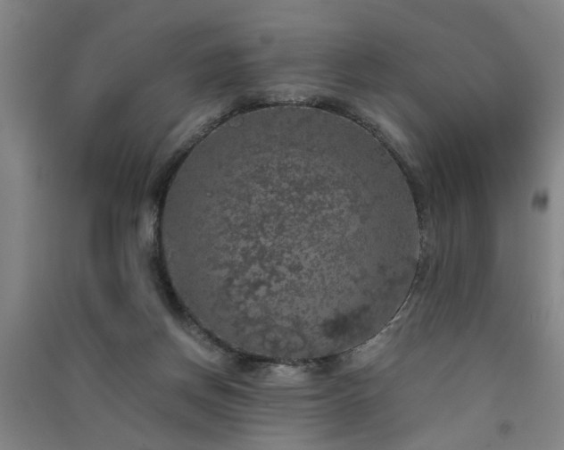 X0000091550166200708171312