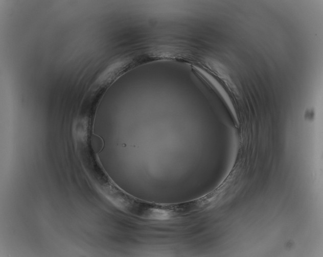 X0000091550167200708171312