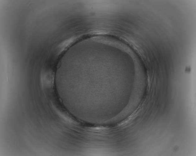 X0000091550168200708171312