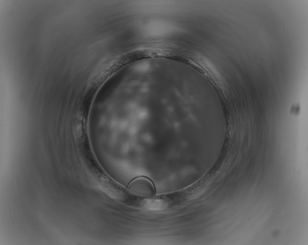 X0000091550169200708171312