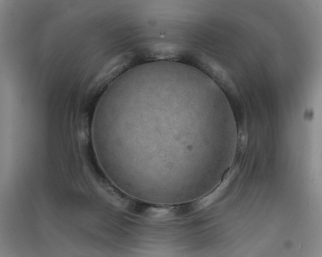 X0000091550170200708171312