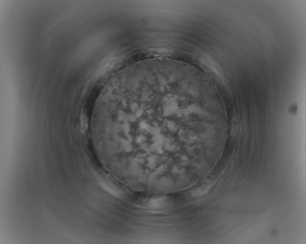 X0000091550173200708171312
