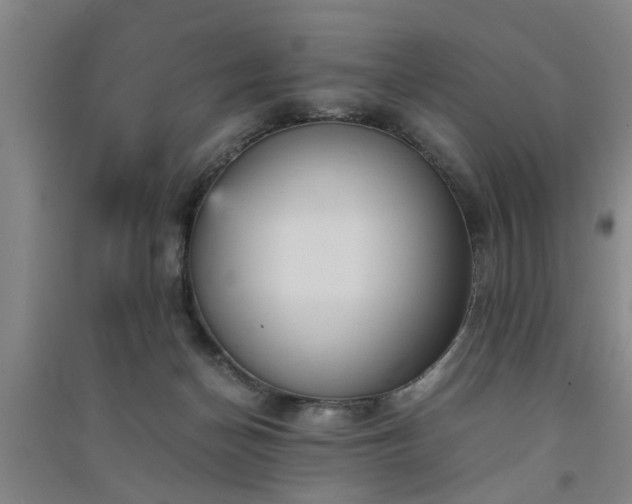 X0000091550174200708171313