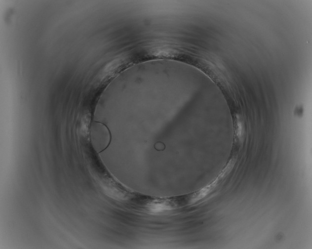 X0000091550175200708171313
