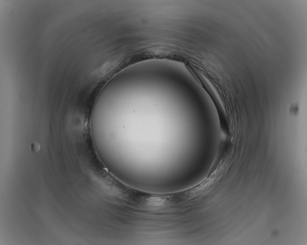 X0000091550176200708171313