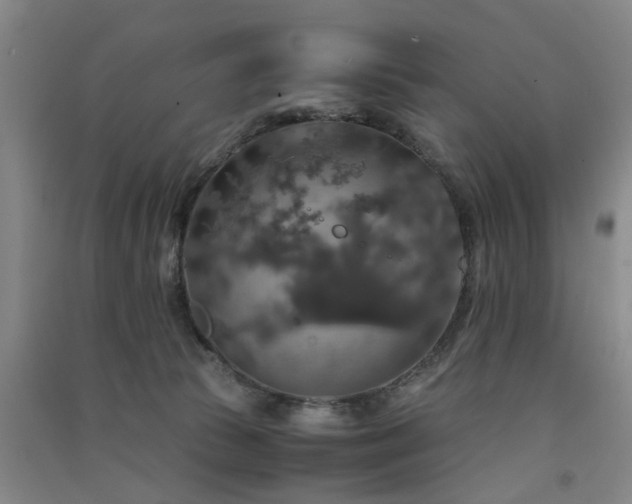 X0000091550177200708171313