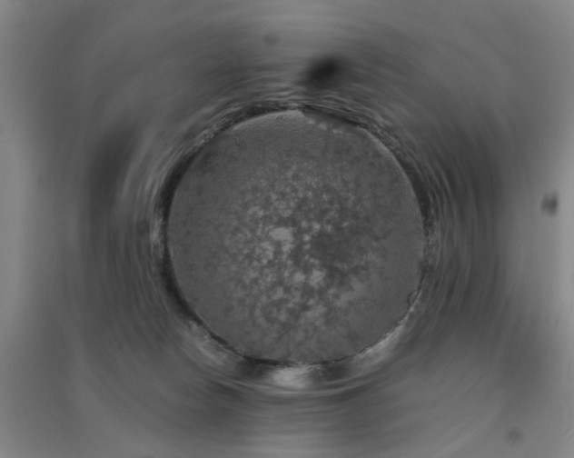 X0000091550178200708171313