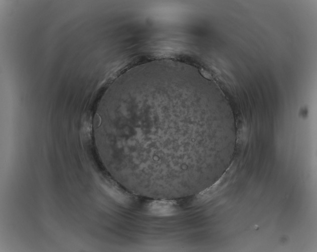 X0000091550179200708171313