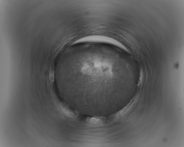 X0000091550180200708171313