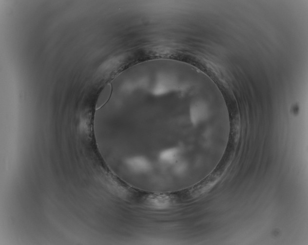 X0000091550181200708171313