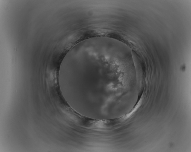X0000091550182200708171313
