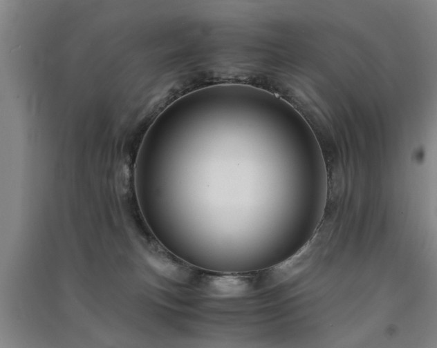 X0000091550183200708171313