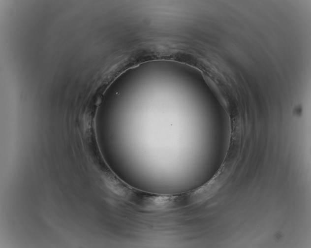 X0000091550184200708171313