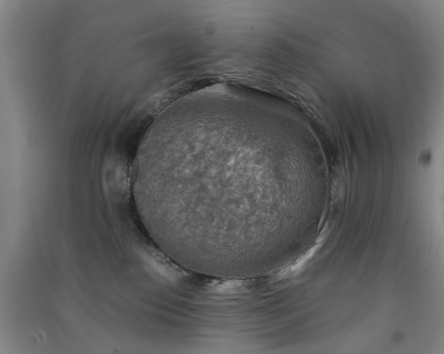 X0000091550186200708171313