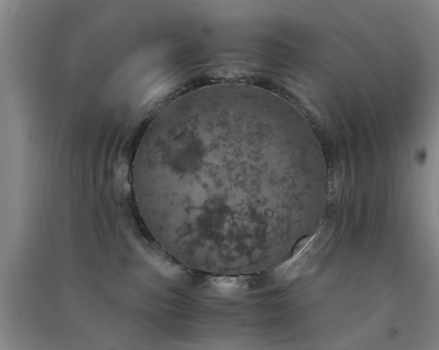 X0000091550187200708171313