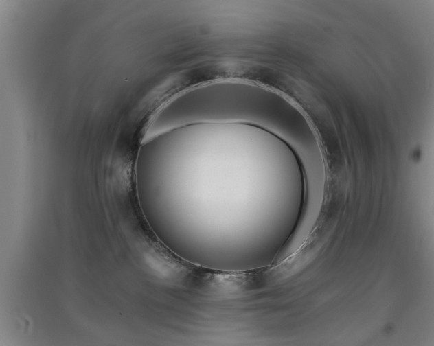 X0000091550188200708171313