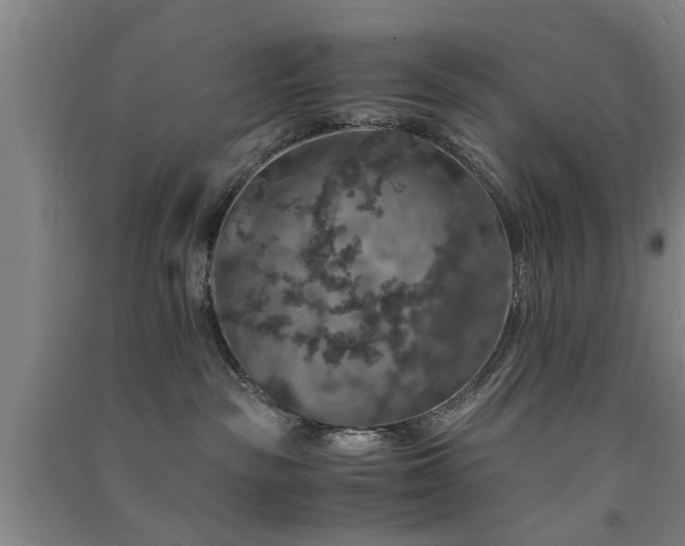 X0000091550189200708171313