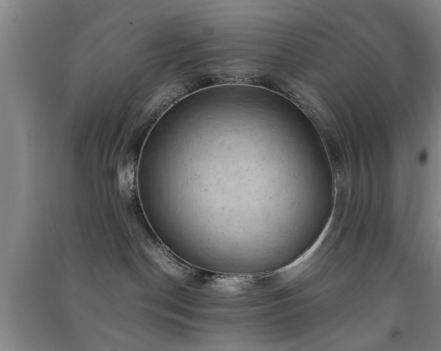X0000091550190200708171313