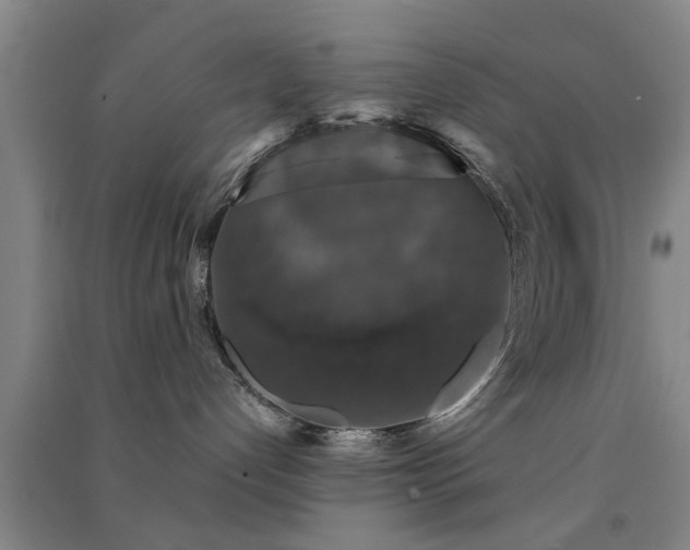 X0000091550192200708171313