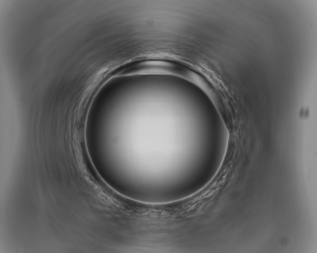 X0000091550193200708171312