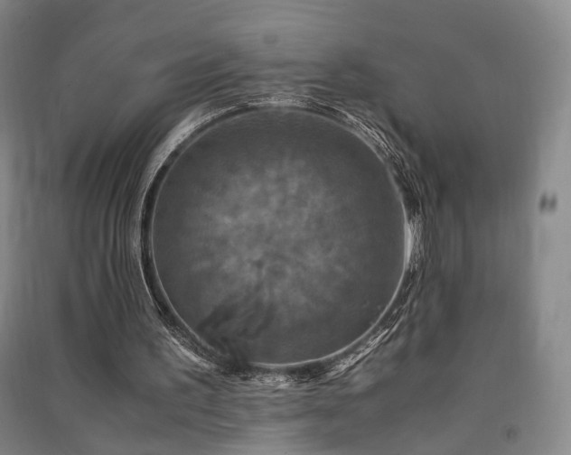 X0000091550195200708171312