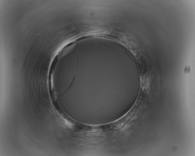 X0000091550196200708171312