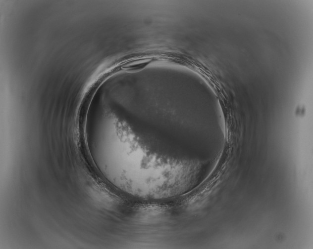 X0000091550198200708171312