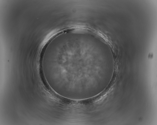 X0000091550199200708171312