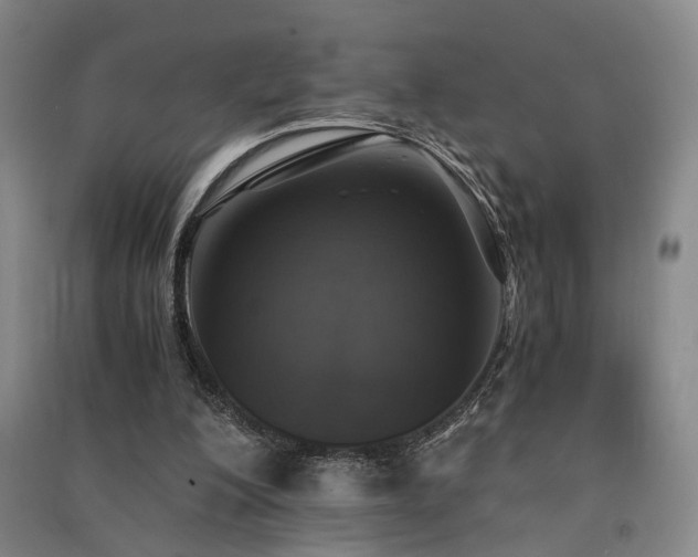 X0000091550200200708171312
