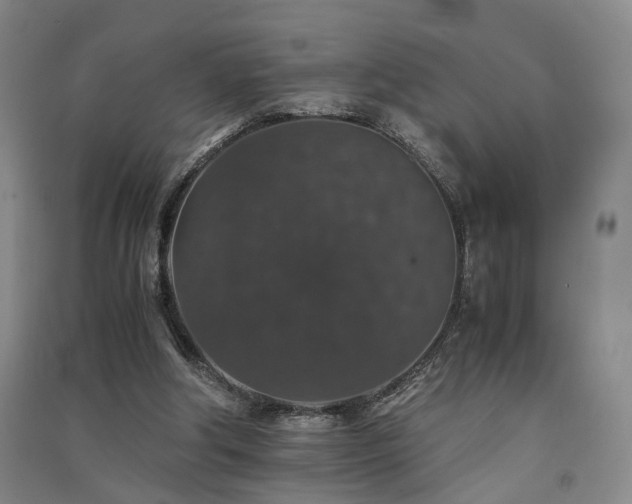 X0000091550202200708171312