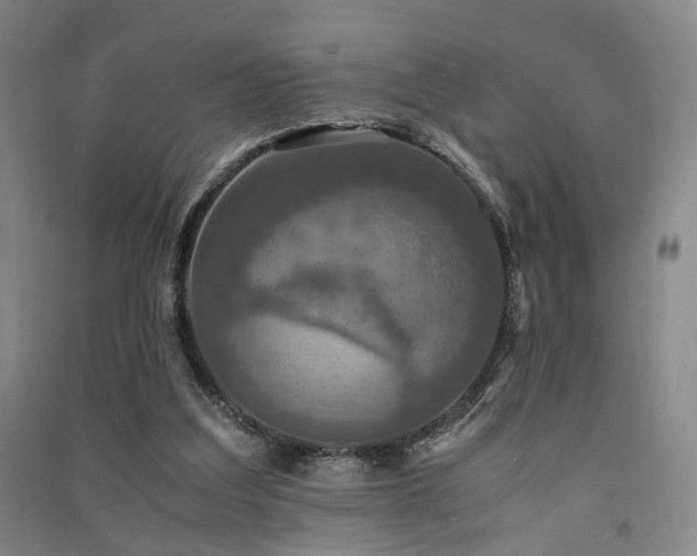 X0000091550203200708171312