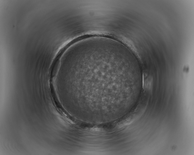 X0000091550204200708171312