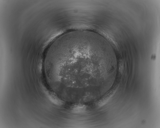 X0000091550206200708171312