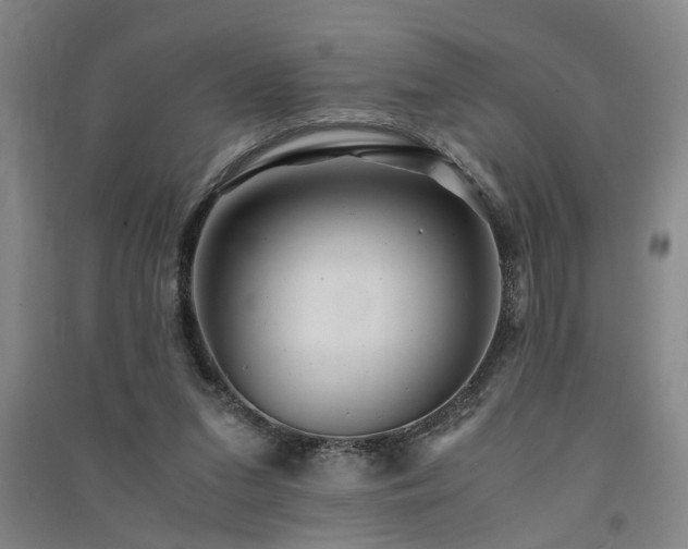 X0000091550207200708171312