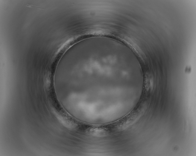 X0000091550208200708171312