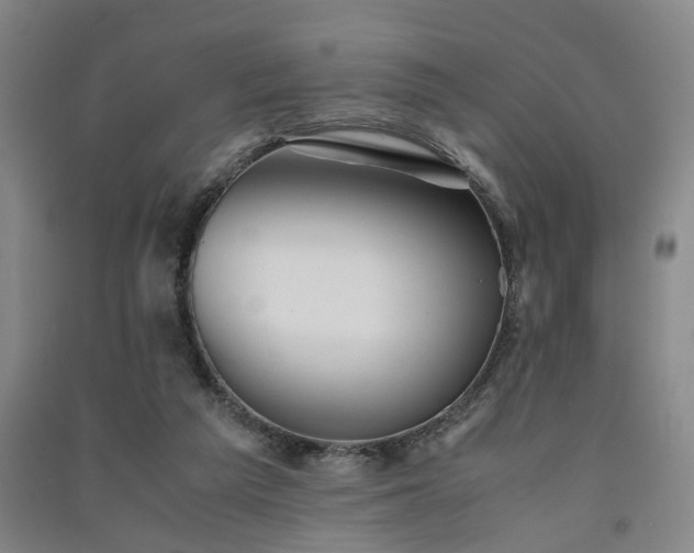 X0000091550209200708171312