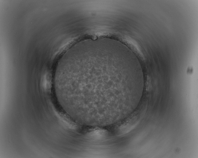 X0000091550210200708171312