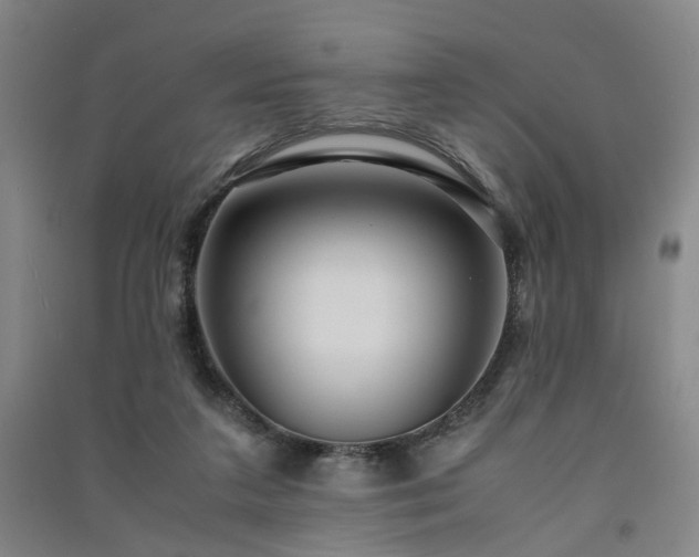 X0000091550211200708171312