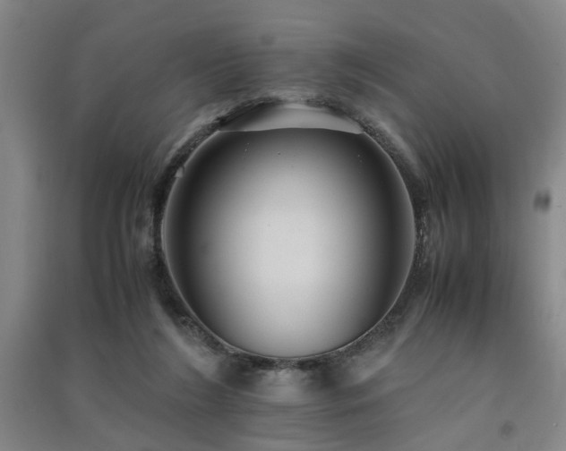 X0000091550212200708171312