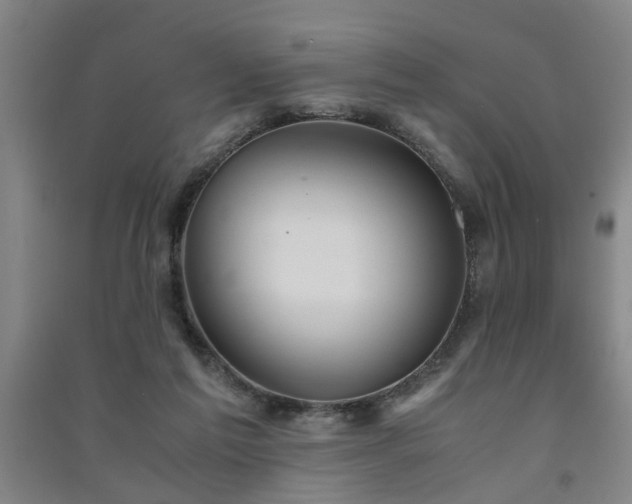 X0000091550213200708171312