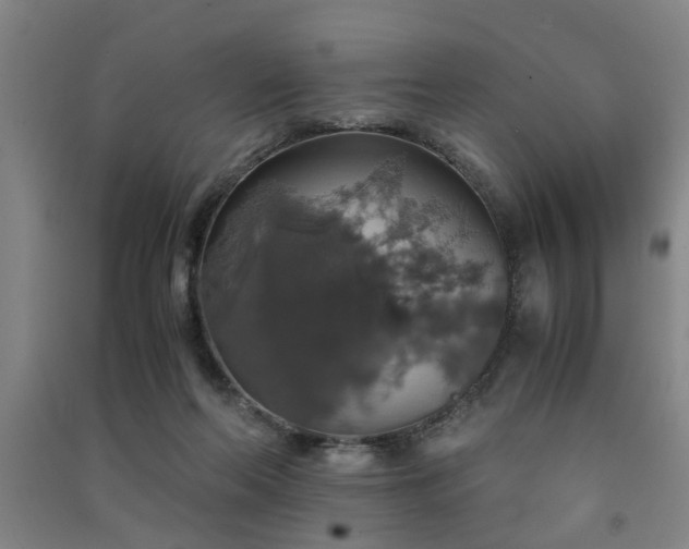X0000091550214200708171312