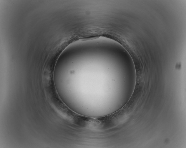 X0000091550215200708171312